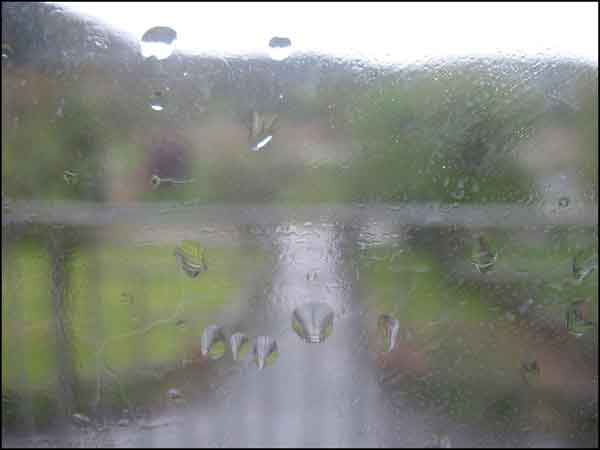 our window with a view, 2x wet, damp from within, rain outside