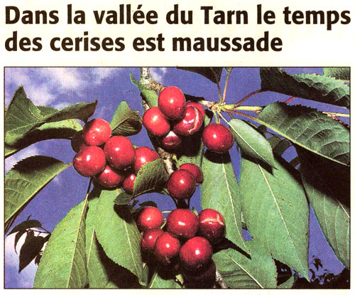 Midi Libre Samedi 9 juin 2007