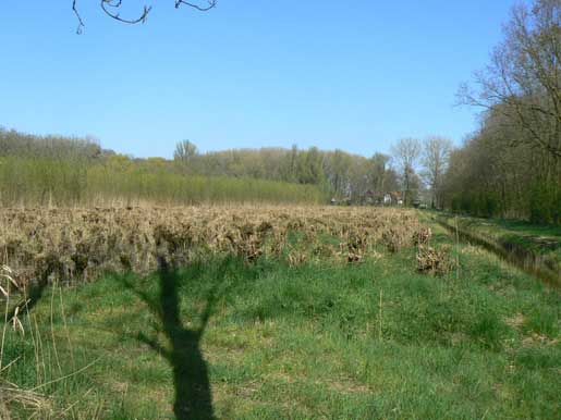 Grienden. Bron: wiki